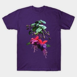 Fuschia - Red and Purple Fuschia T-Shirt